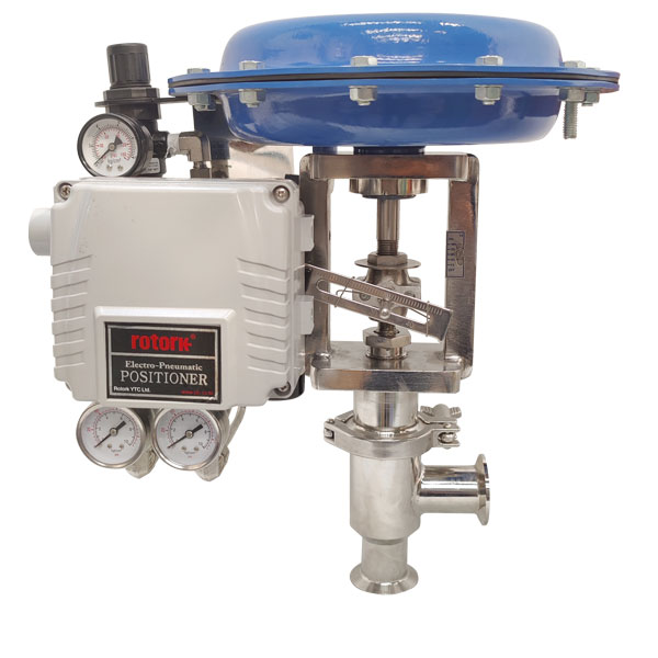 PID sanitary globe control valve